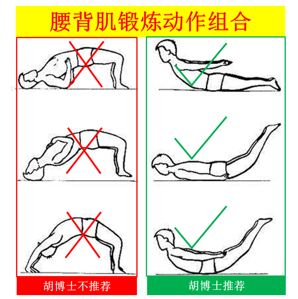 博士讲堂:腰背肌锻炼,你做对了吗?(图2)
